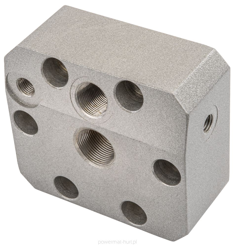 GŁOWICA POMPY DO AGREGATU PM-PDM-1500M-GP